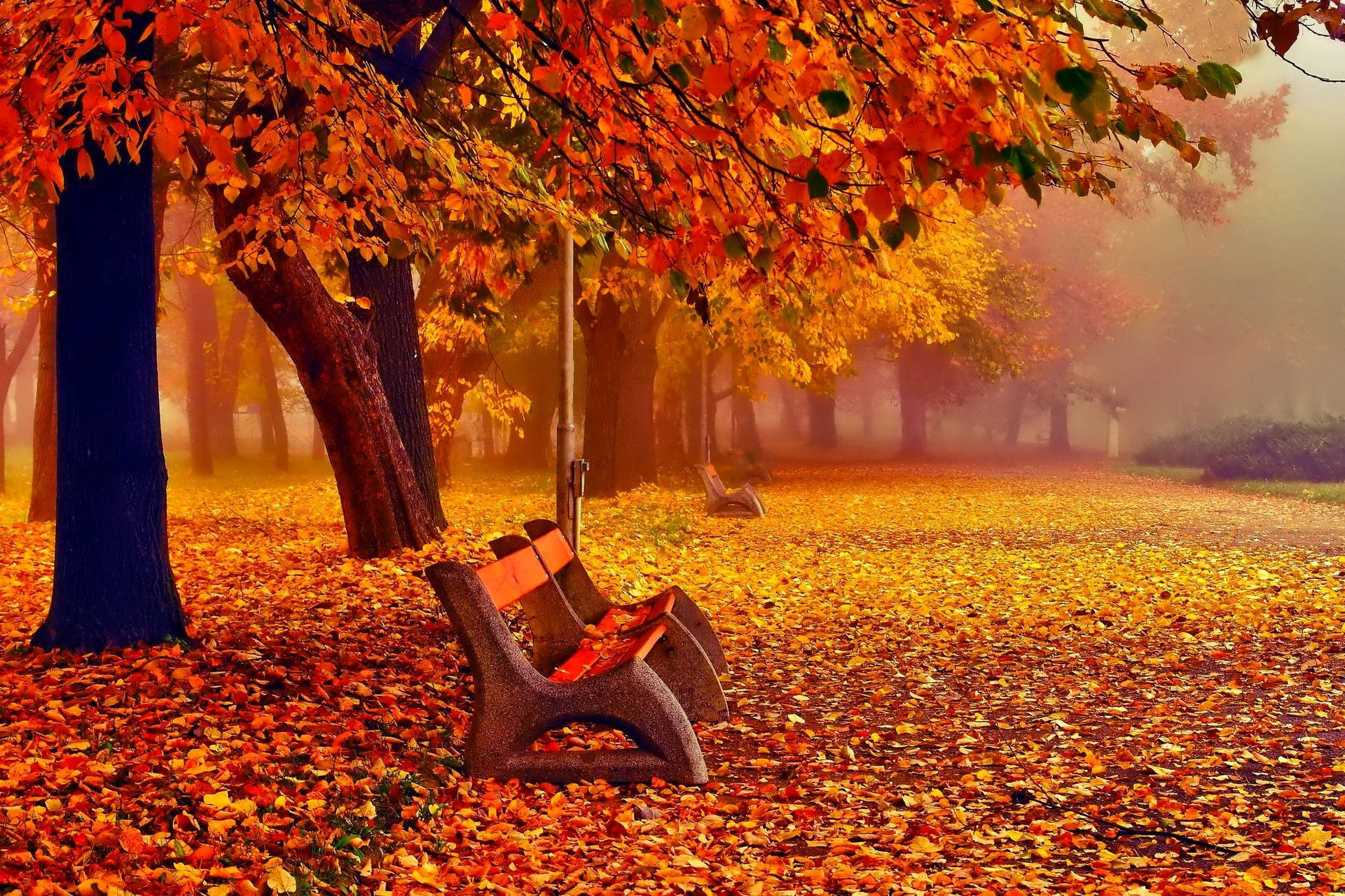 November Wallpaper
