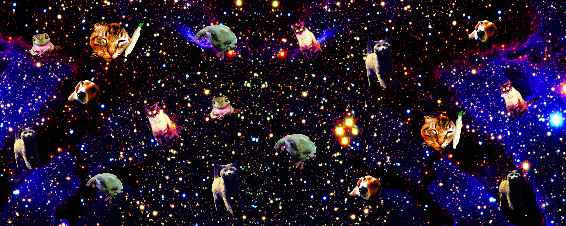 Kitty Babe In Space Cat Graphic Wallpaper Footprint