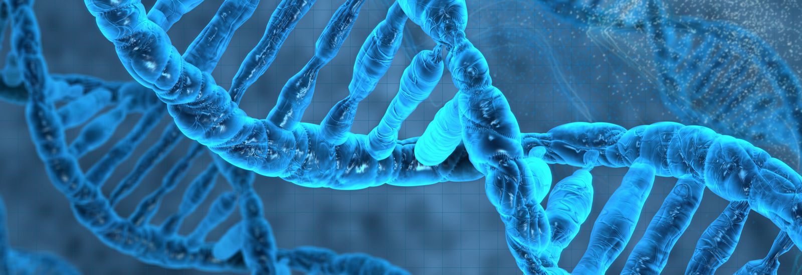 Biochemistry And Molecular Biology