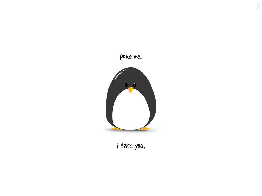 Penguin Wallpaper For Your Puter Cute