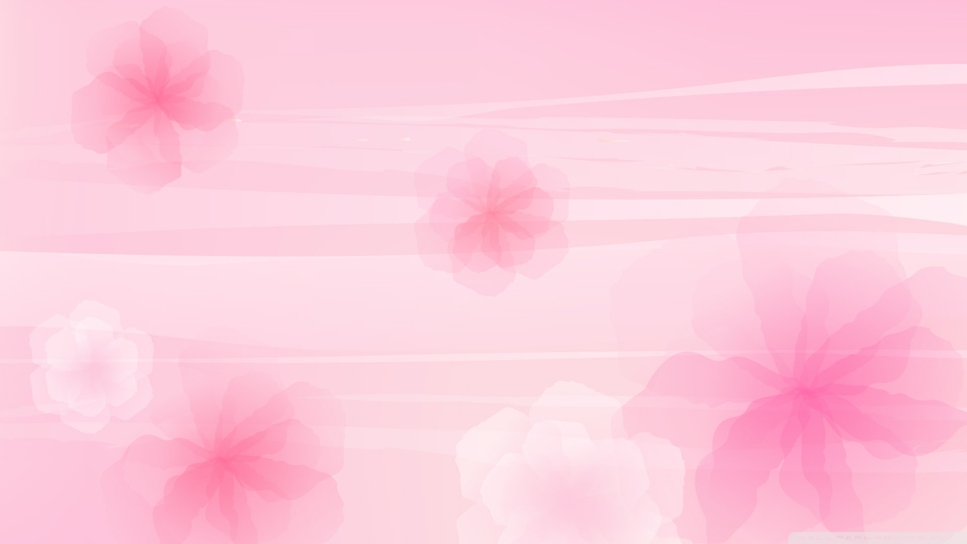 Pink Flowers Background Wallpaper