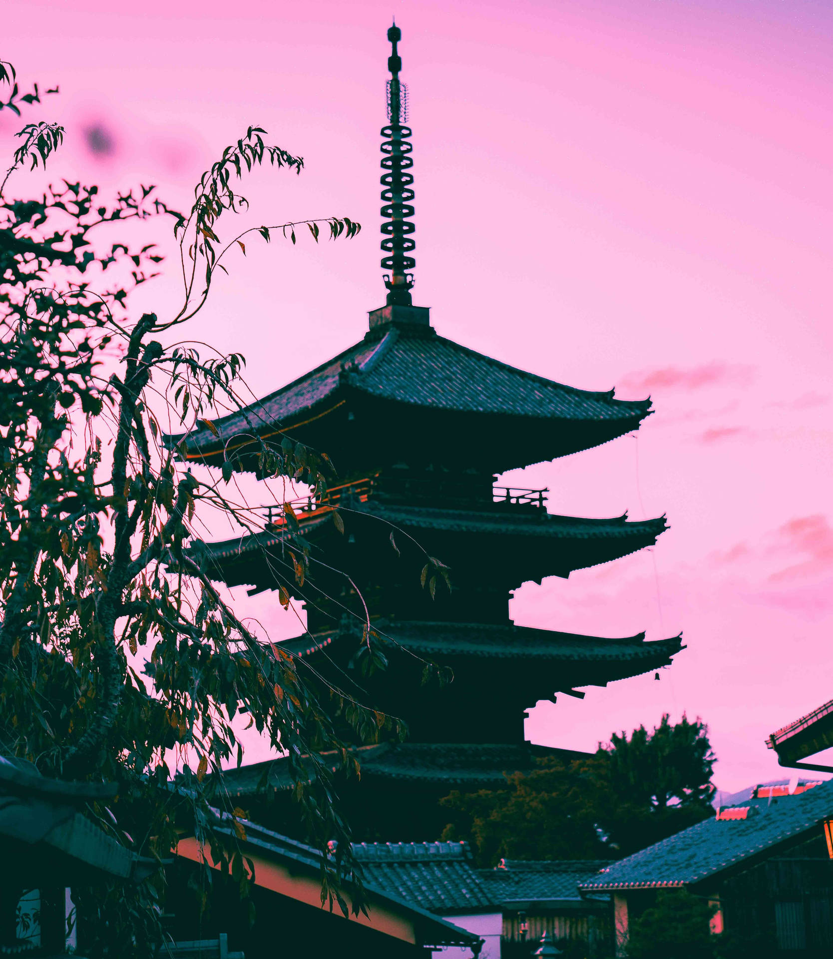 Japanese Aesthetic iPhone Wallpaper