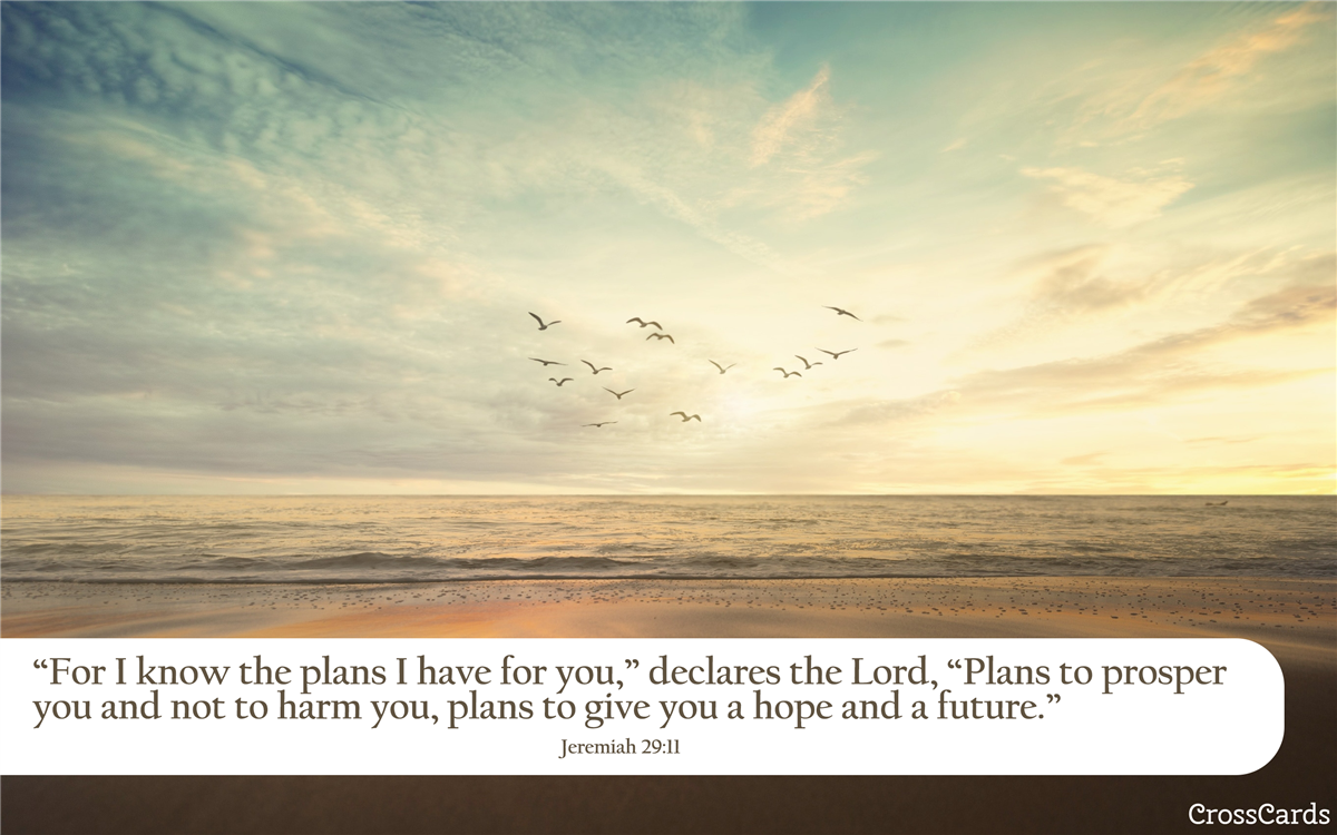 Bible Verse Phone Wallpaper Christian Scripture Background