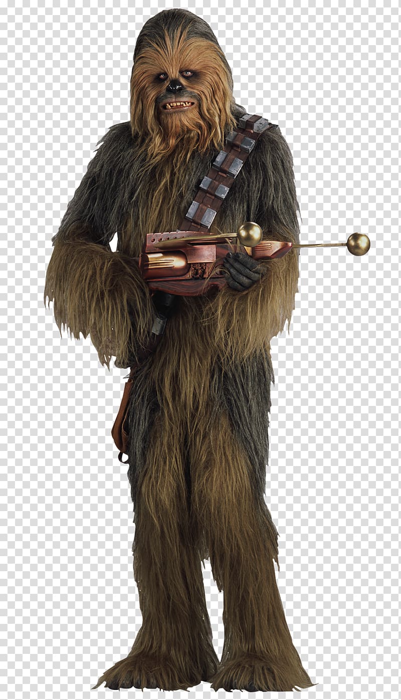 Chewbacca From Star Wars Illustration Wookiee