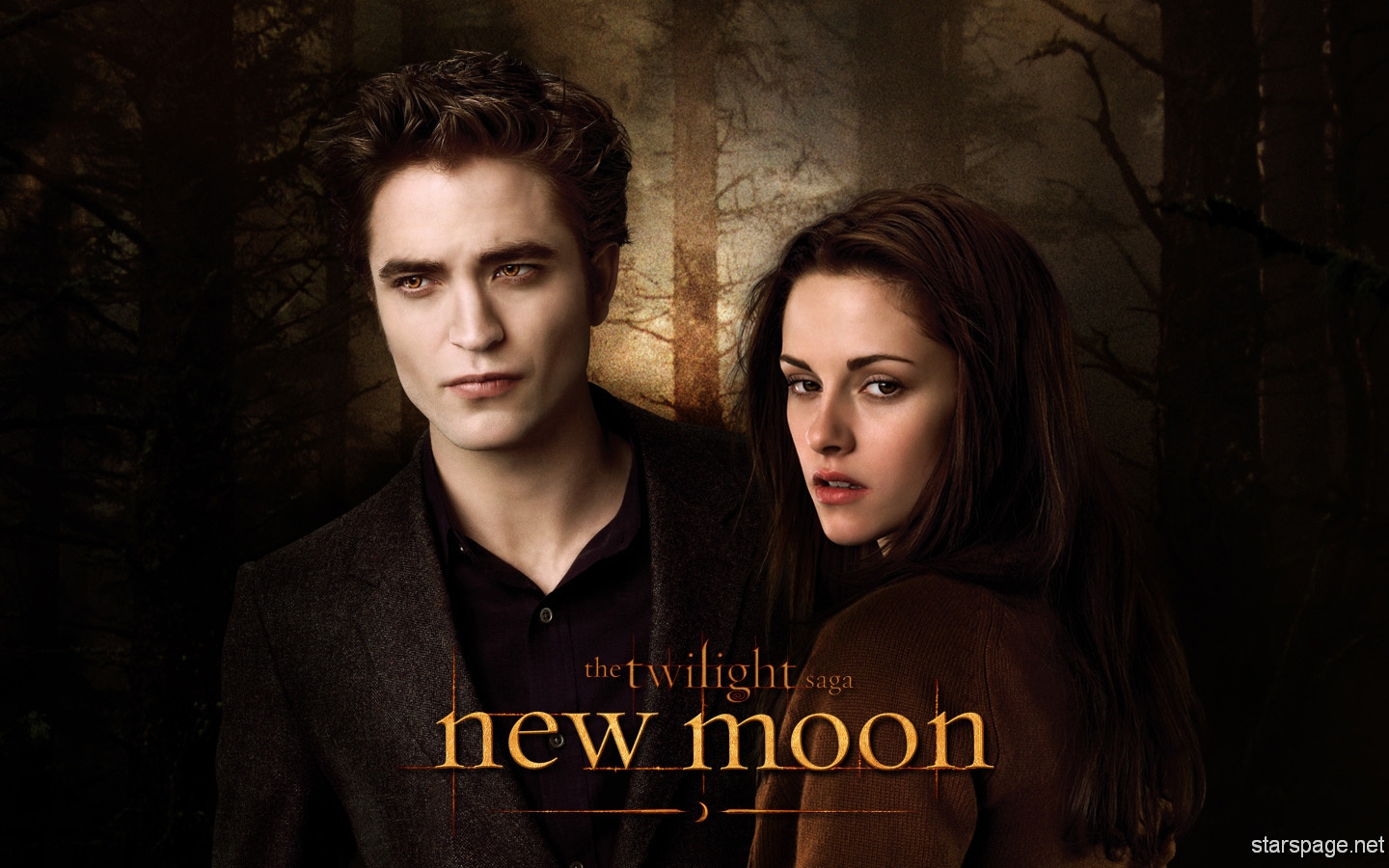 The Twilight Saga New Moon Wallpaper Posters Stand Ups