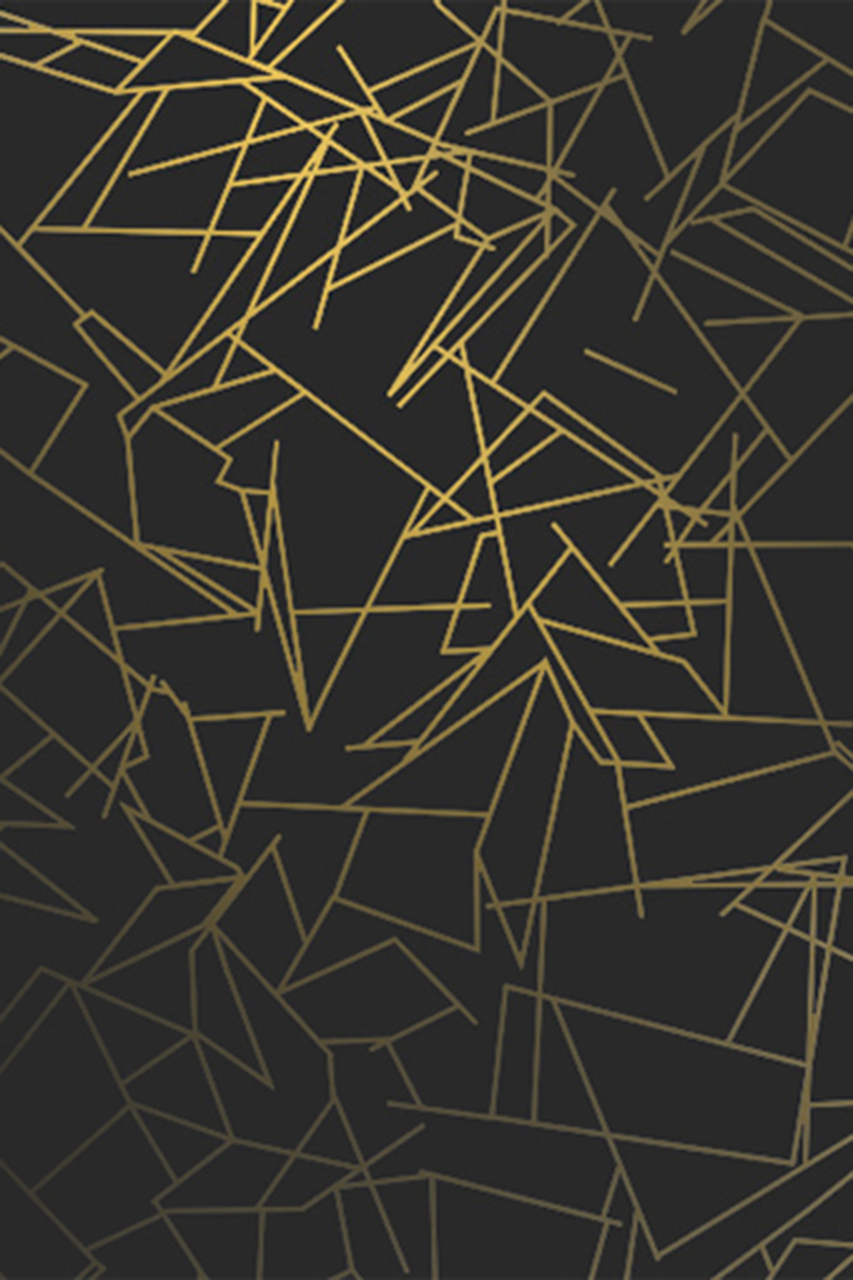 Angles Wallpaper   Black Gold Monument Interiors 1200x1800