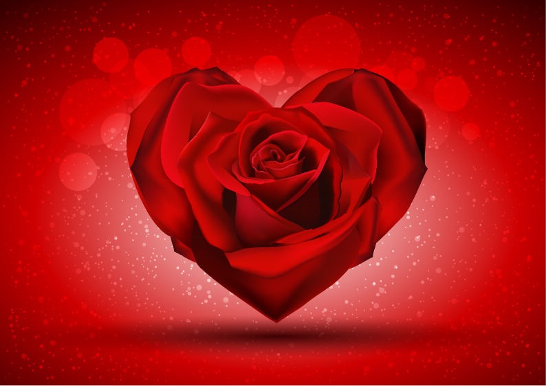 Red Rose In The Shape Of Heart Background By VectorBackground On