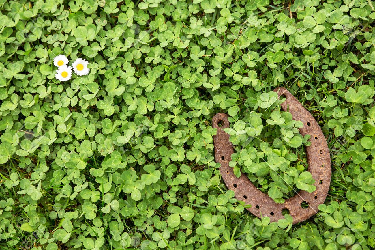A Lucky Charm On Clover As Background Stock Photo Picture And