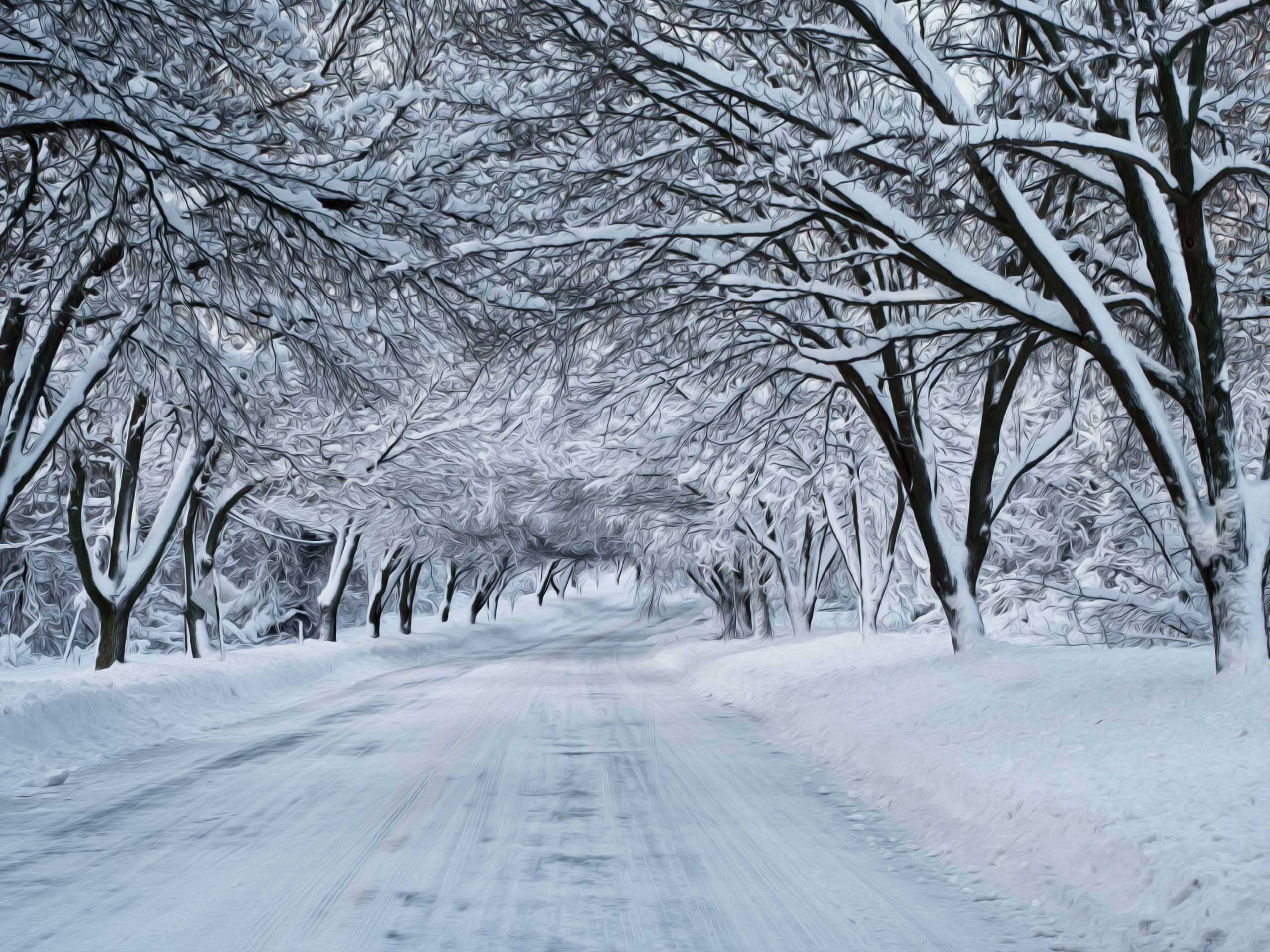 Winter Snow Scenes Vector Download 2560x1920