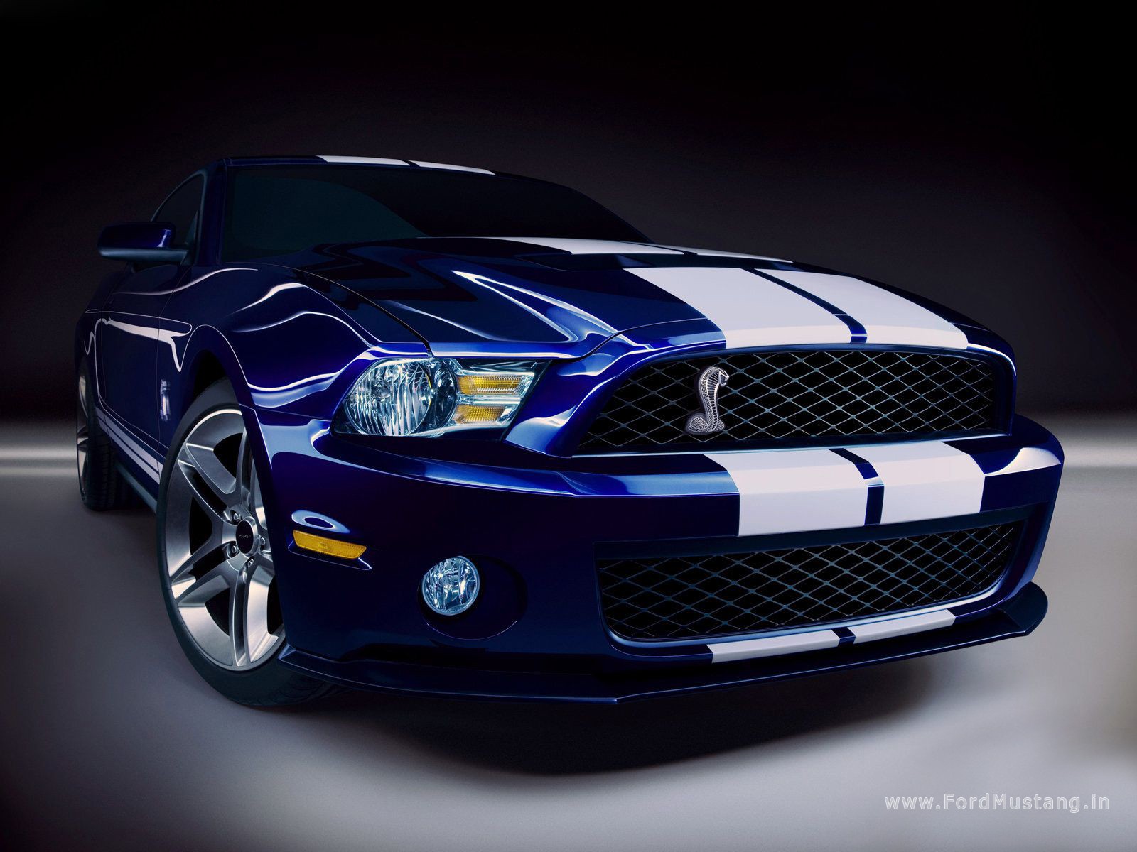 Ford Mustang Shelby Gt500 Wallpaper Best Wall Papers With
