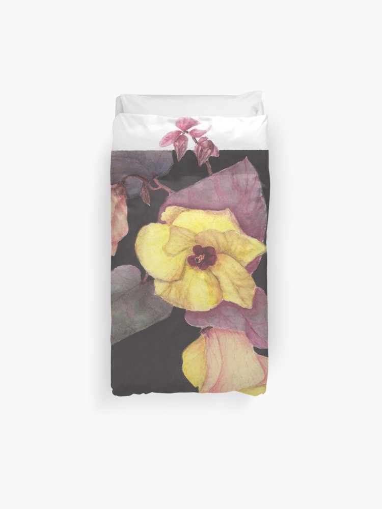 Australian Native Hibiscus Cottonwood Flower Wildflower Black