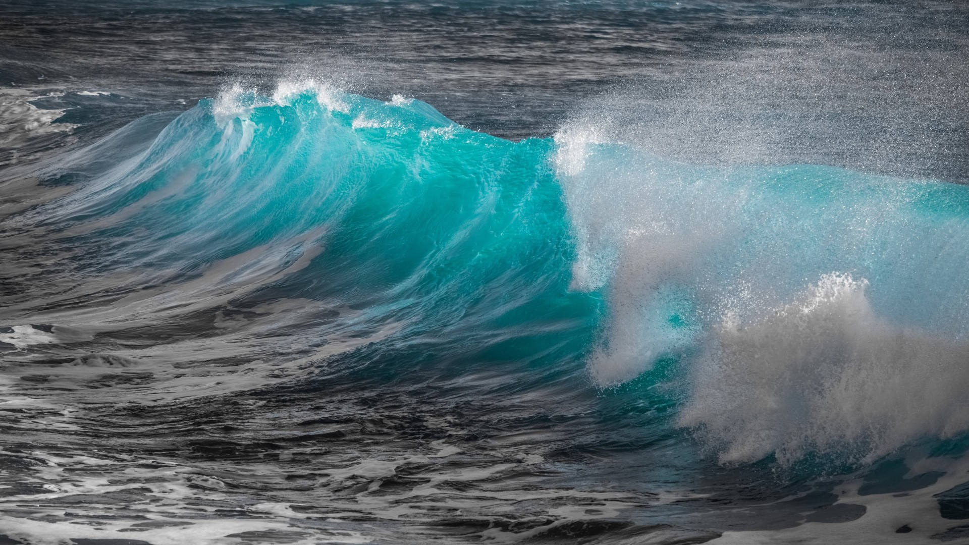 Turquoise Wallpaper