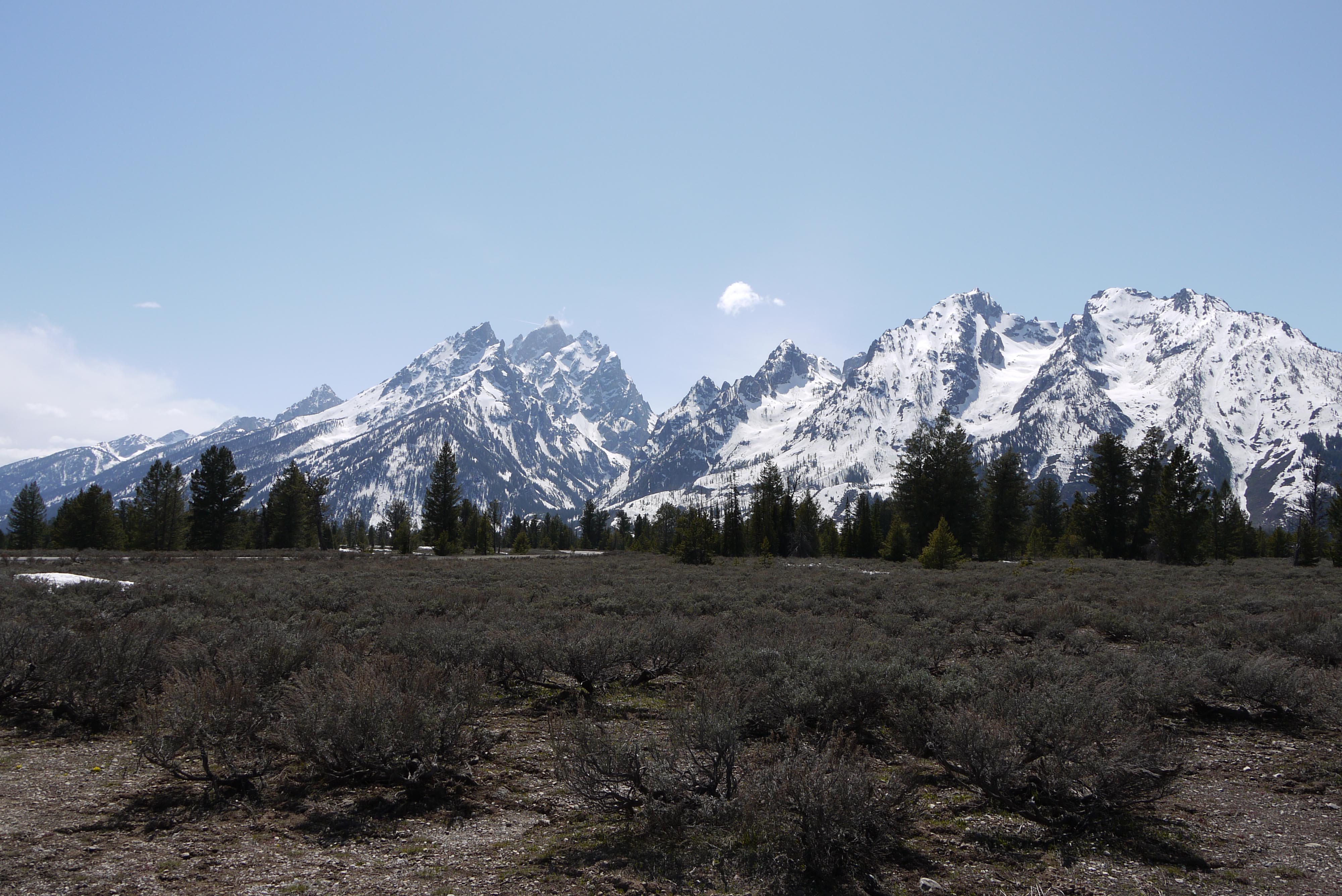 The Teton Range Grand Mountain To Left