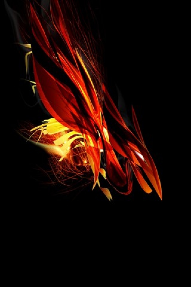 Fire Bird Swooped iPhone Wallpaper HD iPhone Wallpaper Gallery 640x960