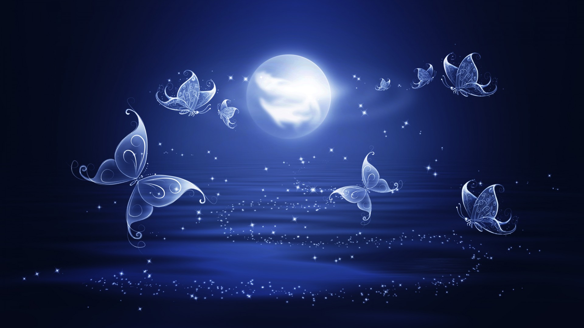 Butterfly Wallpaper Background Blue Night Photo From