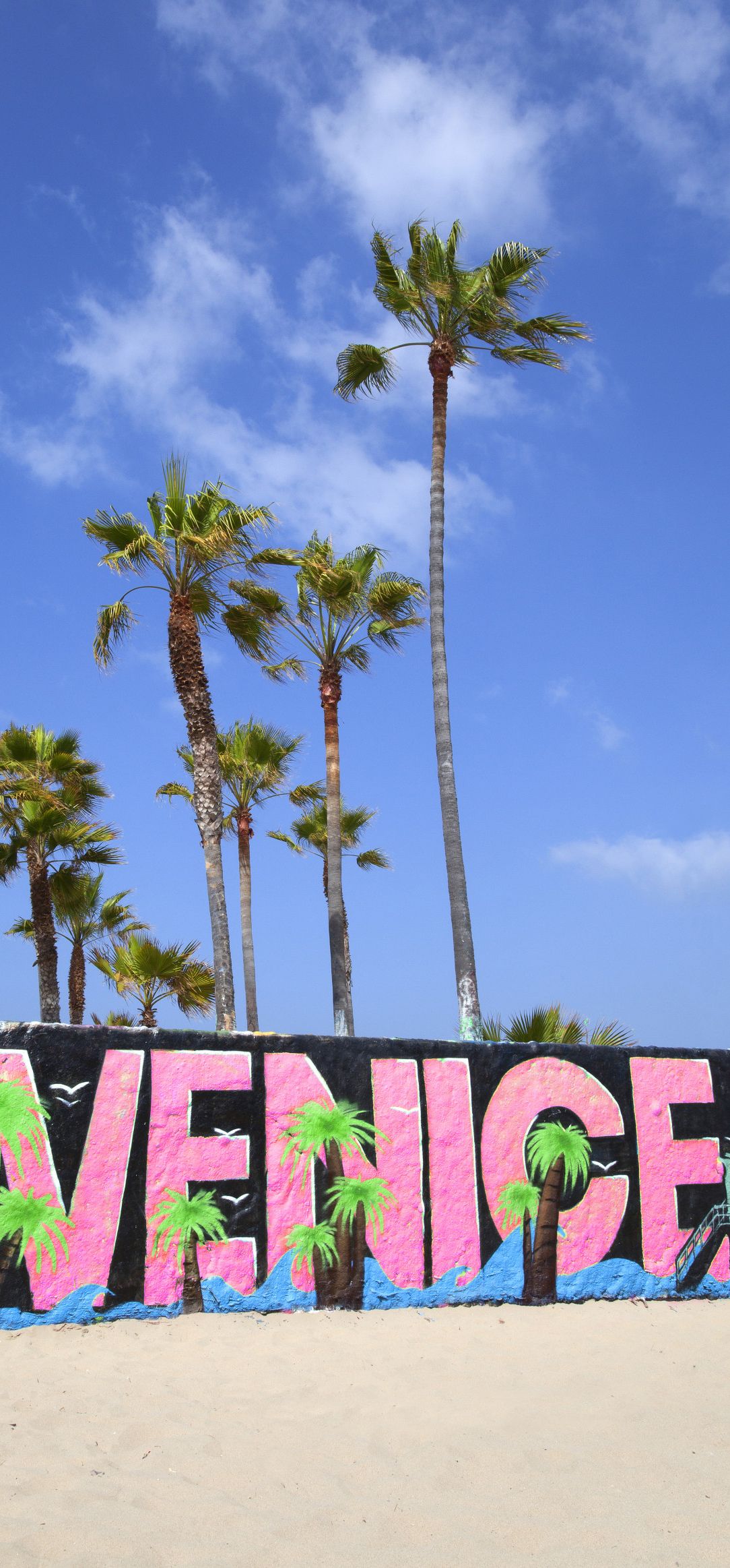 Venice Beach California Usa