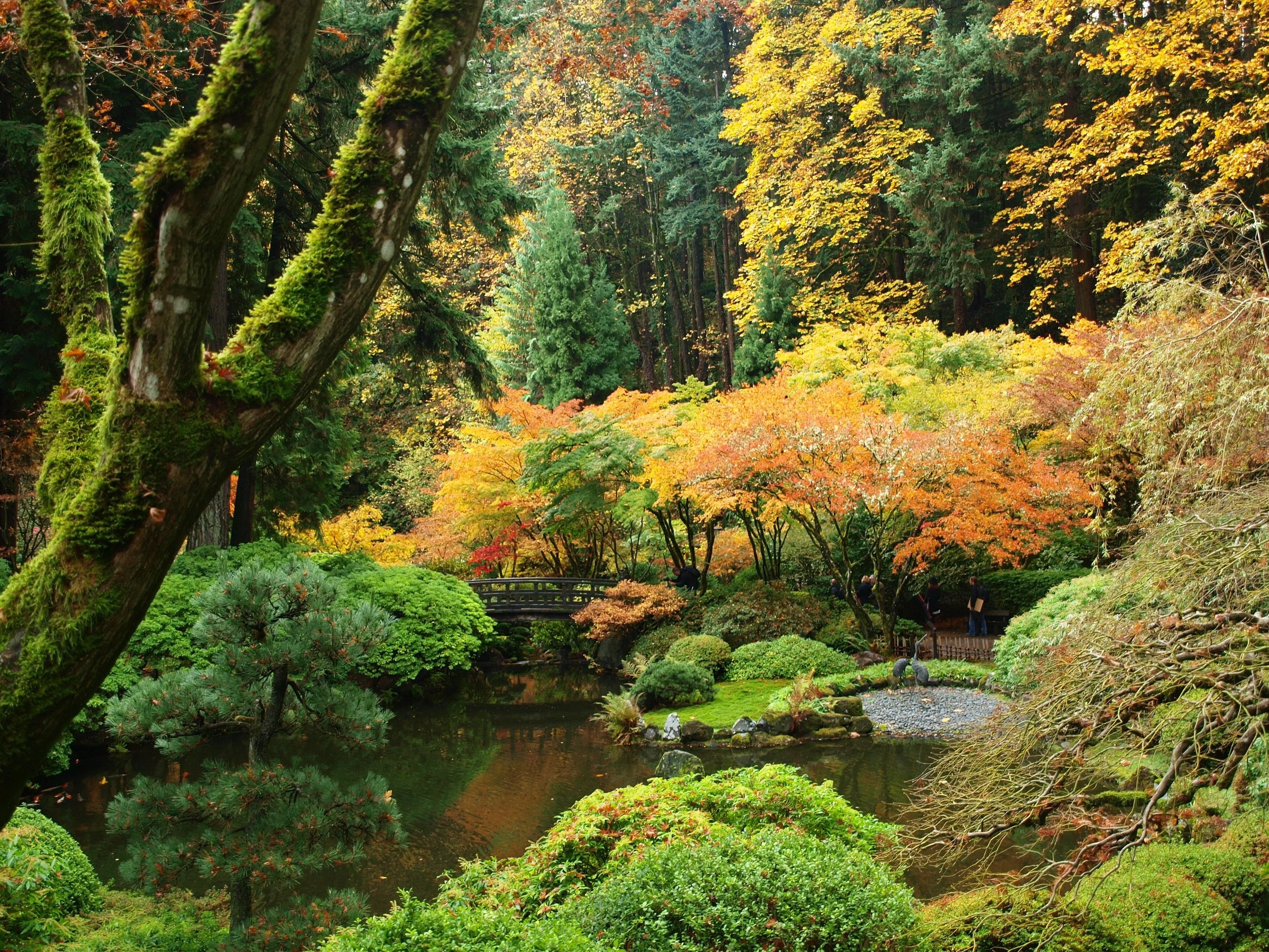Cool Portland Garden Desktop Images Mac Wallpaper Japanese