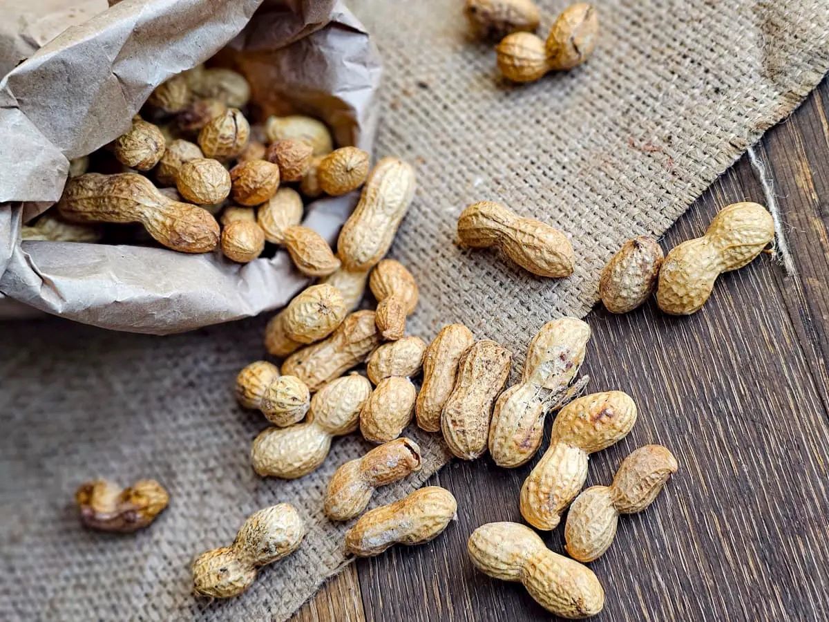 Roast Raw Peanuts In Shell The Oven Wallpaper