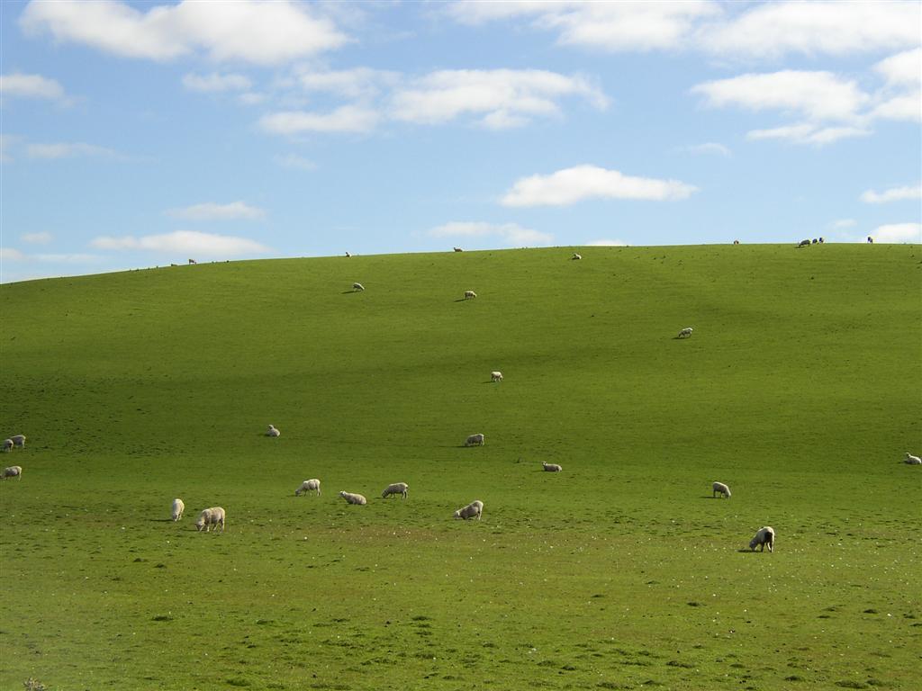 Microsoft Desktop Background For Windows And Res