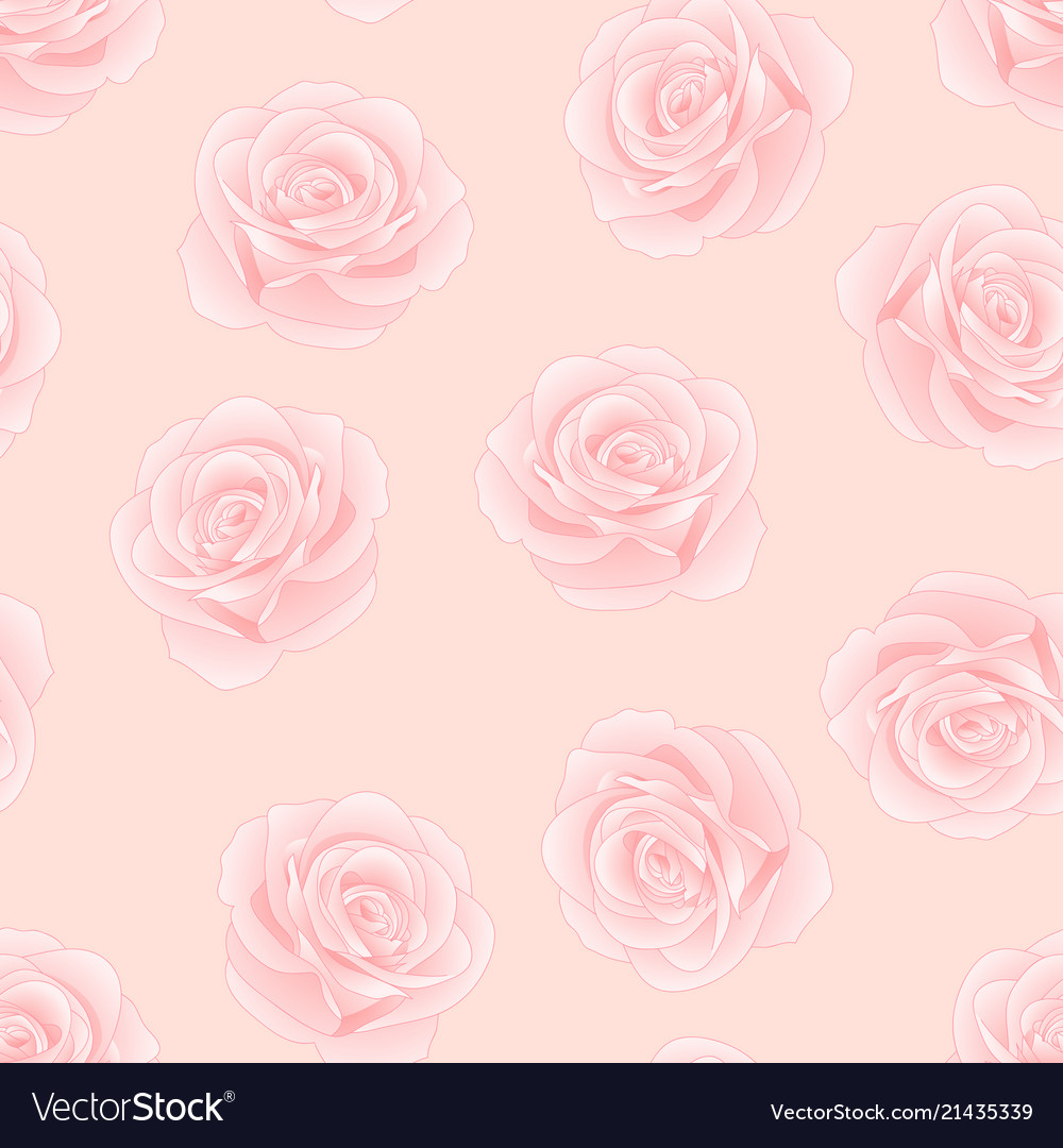 Pink Rose Rosa On Background Royalty Vector