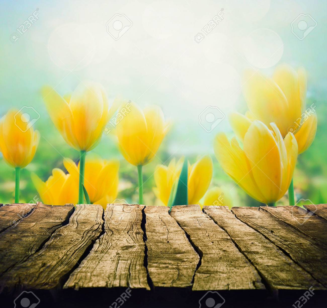 Easter Background With Tabletop Spring Flowers Wood