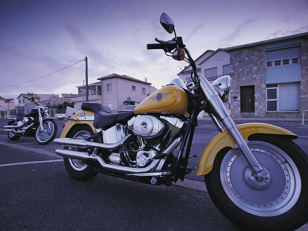 Harley Davidson Motorcycles Wallpapers Risen Sources