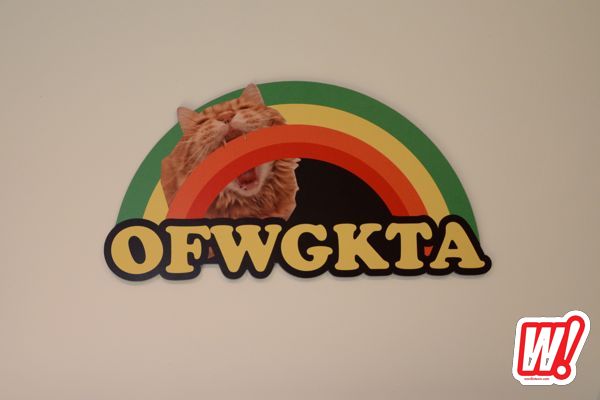 ofwgkta wallpaper hd cat