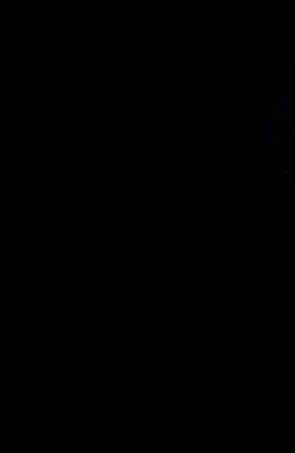 Black Wallpaper