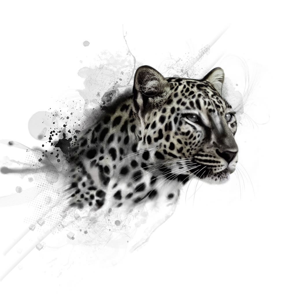 Cool Cheetah Tattoo Idea