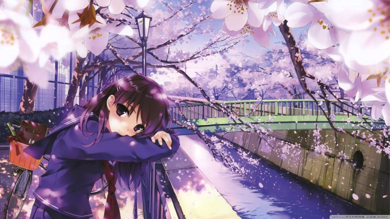 Mobile Wallpaper Anime Girls Sakura For