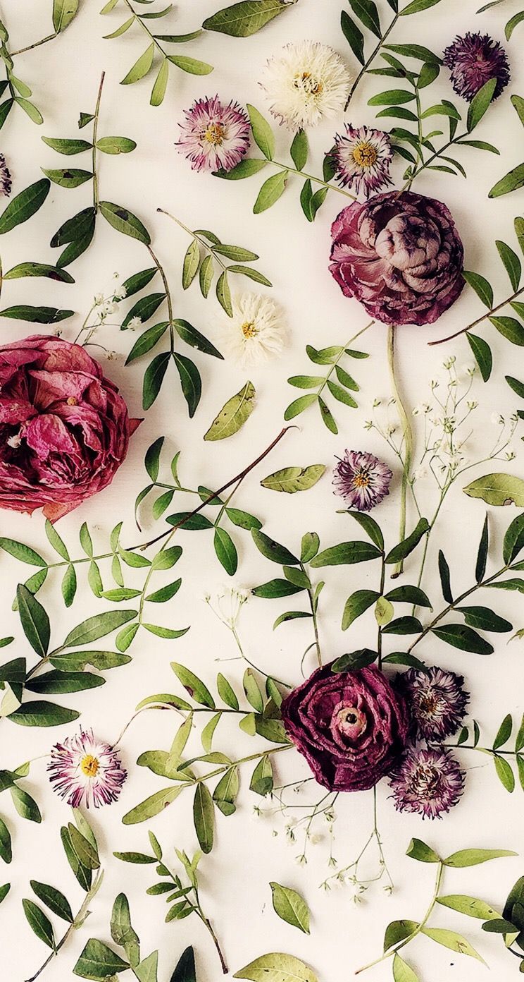iPhone Wallpaper Image Floral Flower