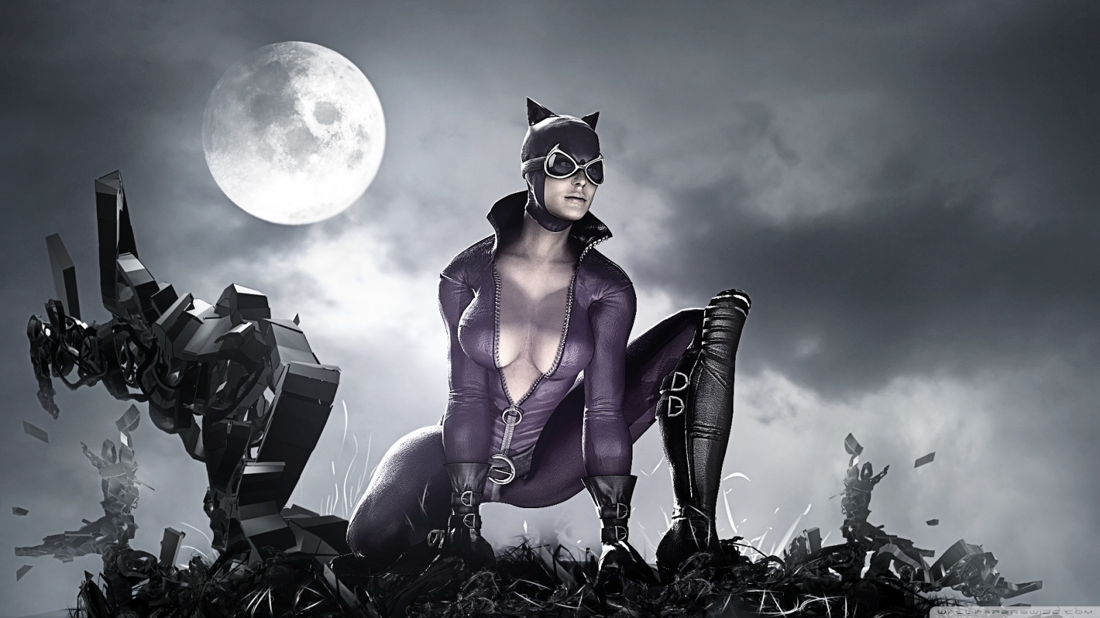 HD Wallpaper Batman Arkham City Catwoman Desktop Widescreen By