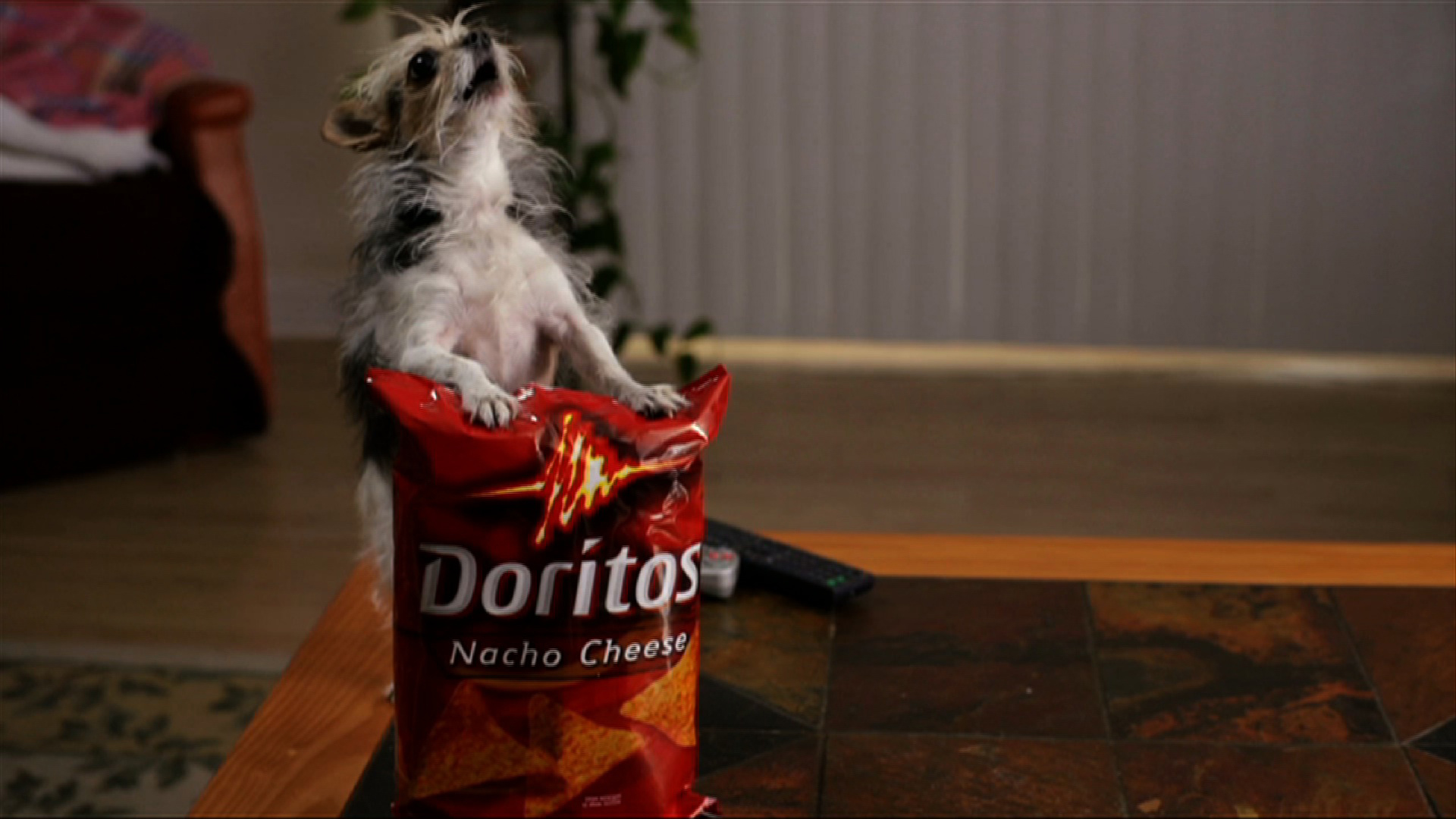 Doritos Girl Ali Landry Announces Finalists Vying For