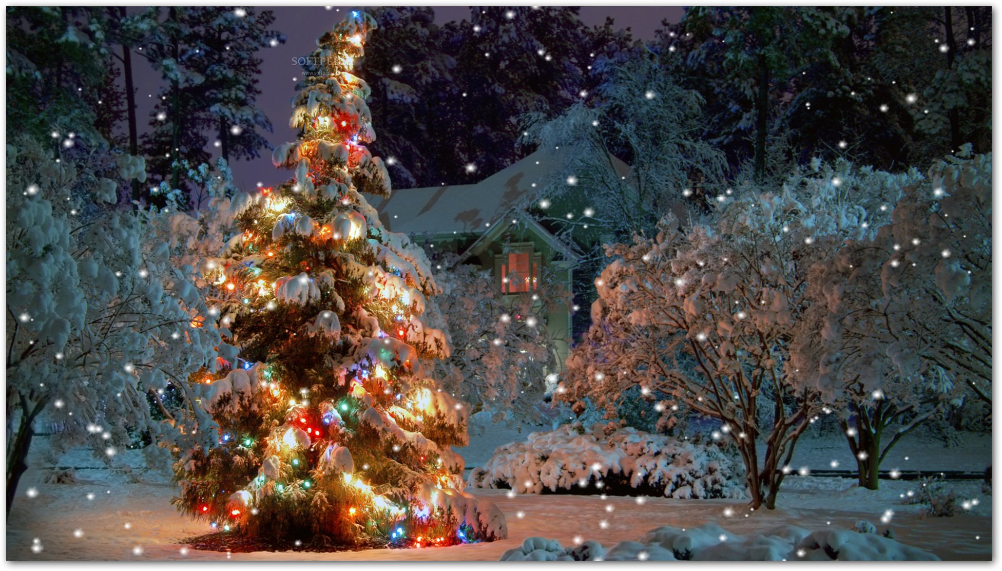 Christmas Serenity Screensaver Have A Beautiful Tree On