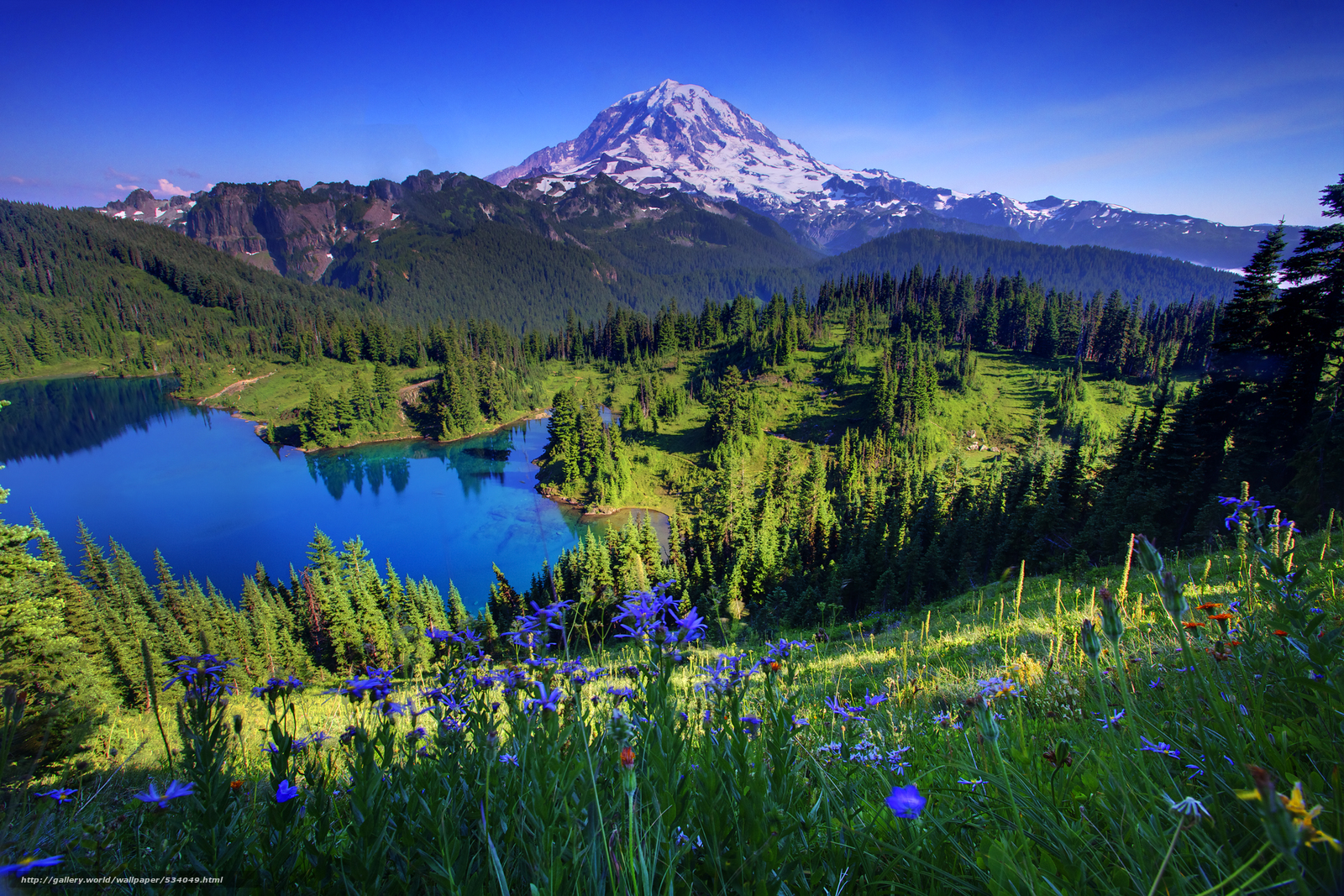 Peak Mount Rainier National Park Washington Desktop