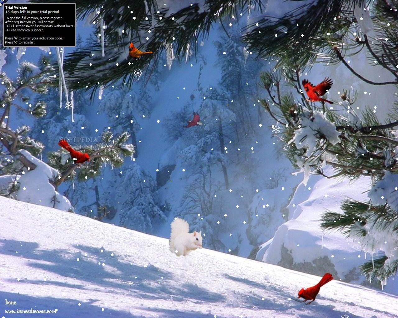 Best 52 Microsoft Winter Screensavers and Wallpaper on
