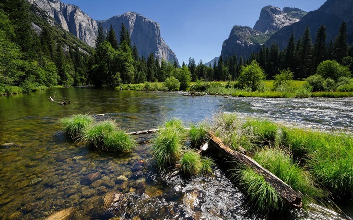Yosemite National Park Microsoft Theme Wallpaper