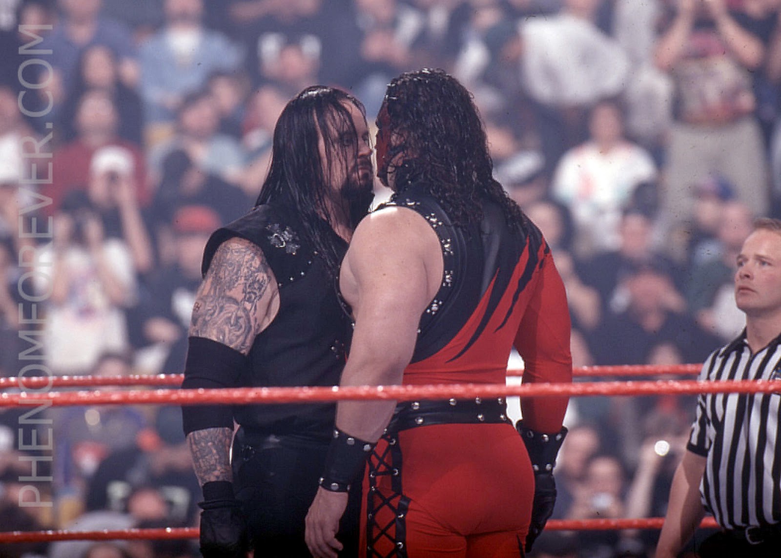 Kane Undertaker Wallpaper Wwe Superstars