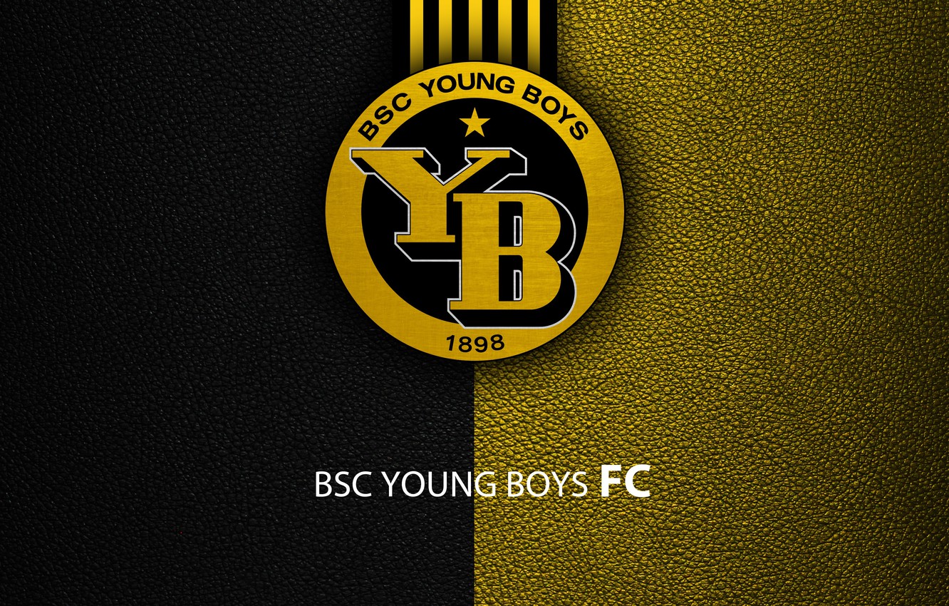 Wallpaper Sport Logo Football Bsc Young Boys Image
