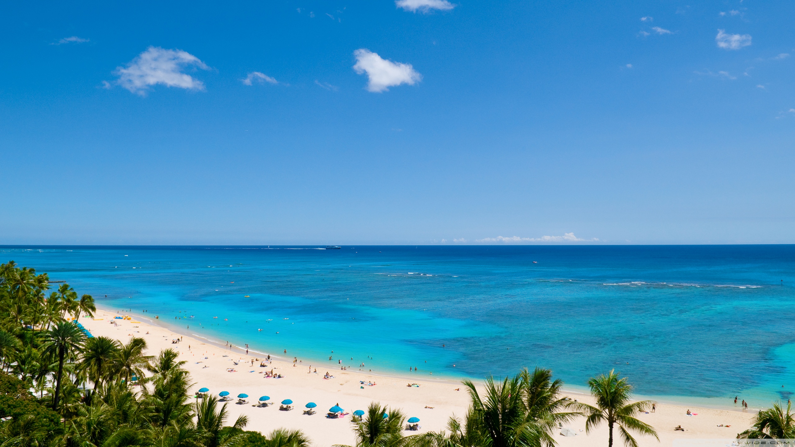 Waikiki Beach And Pacific Ocean 4k HD Desktop Wallpaper For