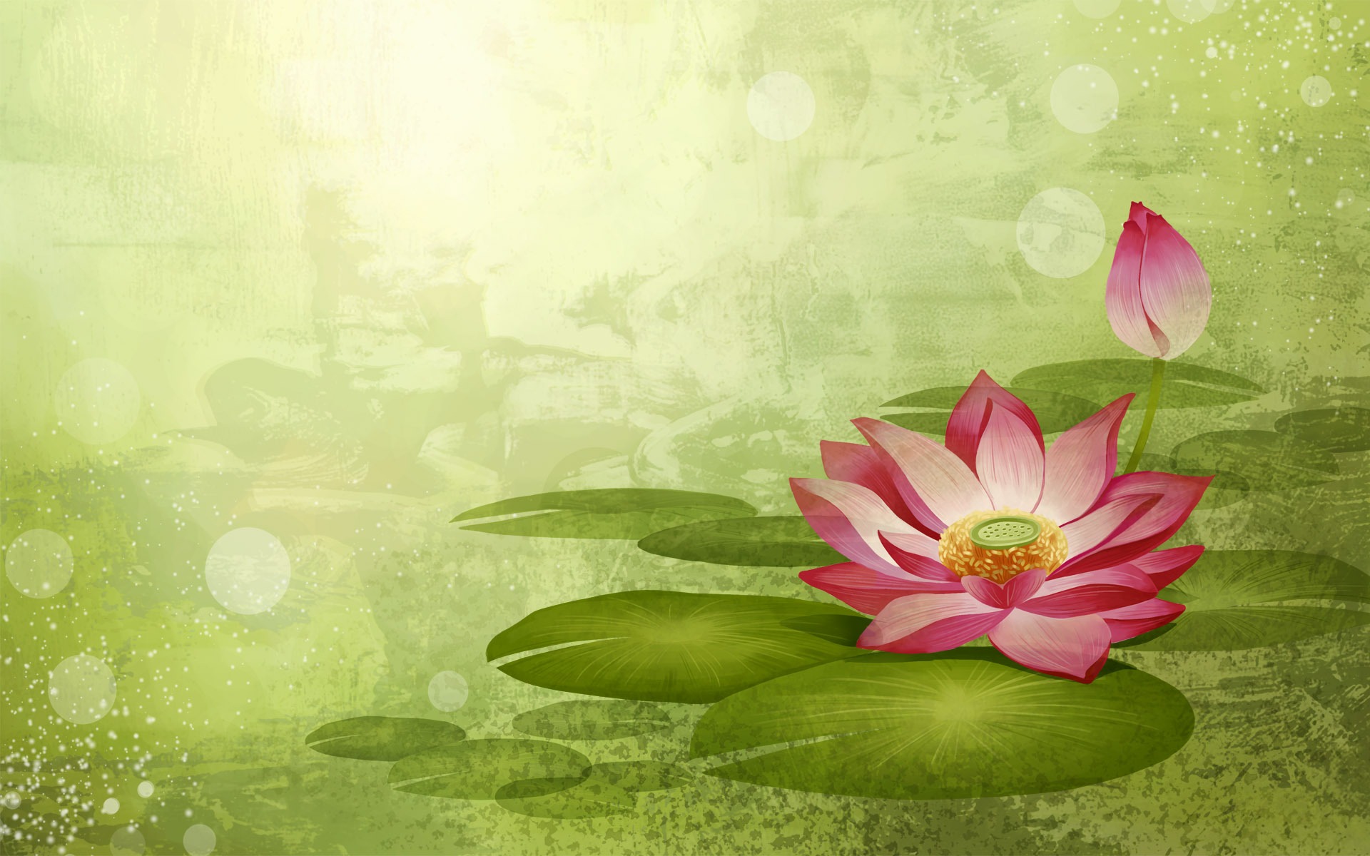 Lotus Flowers Wallpaper