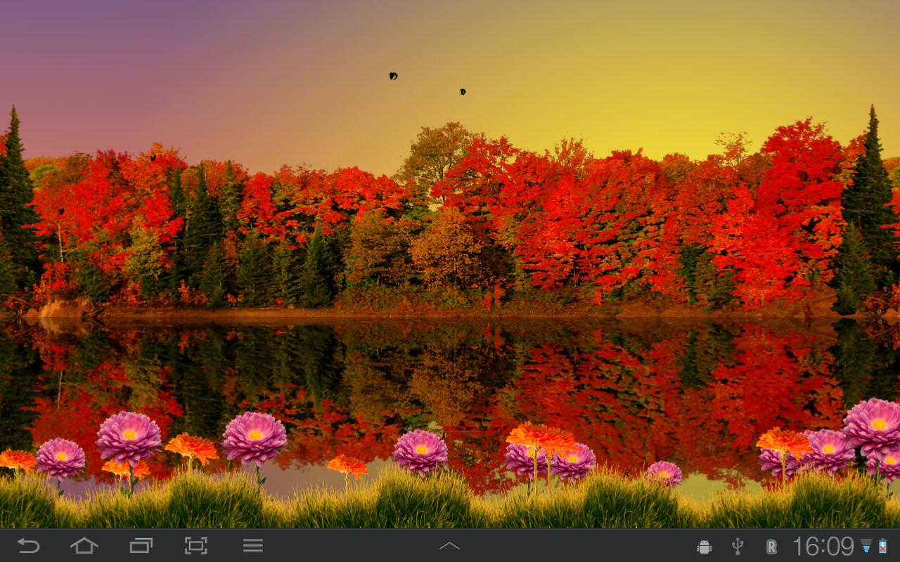 Autumn Lake Live Wallpaper Android Apps On Google Play