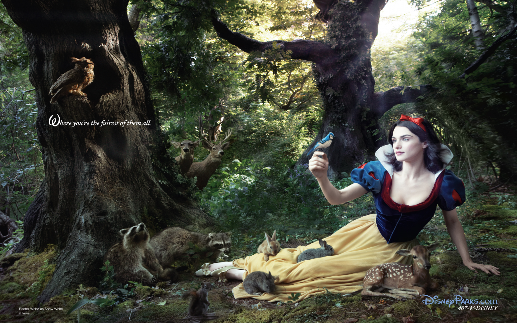 Princess Rachel Weisz Snow White Desktop Wallpaper
