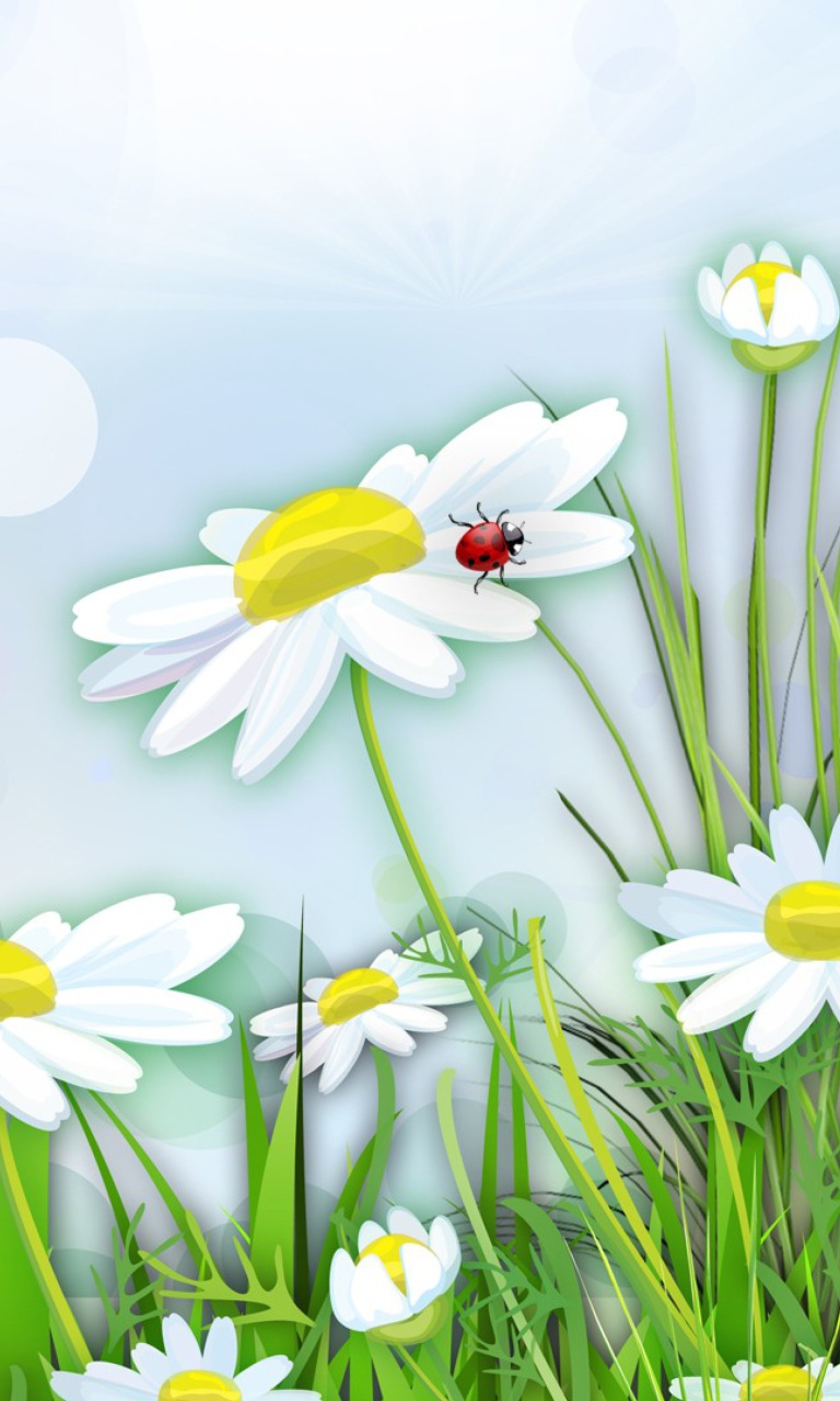 Chamomile And Ladybug Wallpaper768x1280 Wallpaper Screensaver