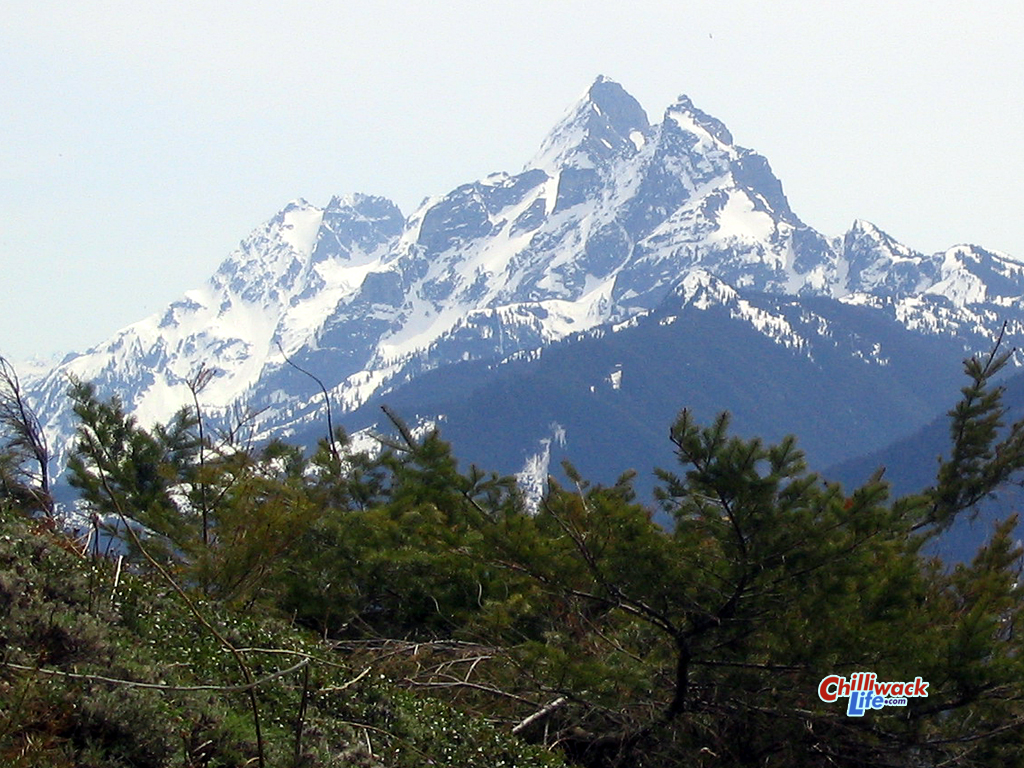 Free download Mountain across to Border Peaks Chilliwack British Columbia Canada [1024x768] for