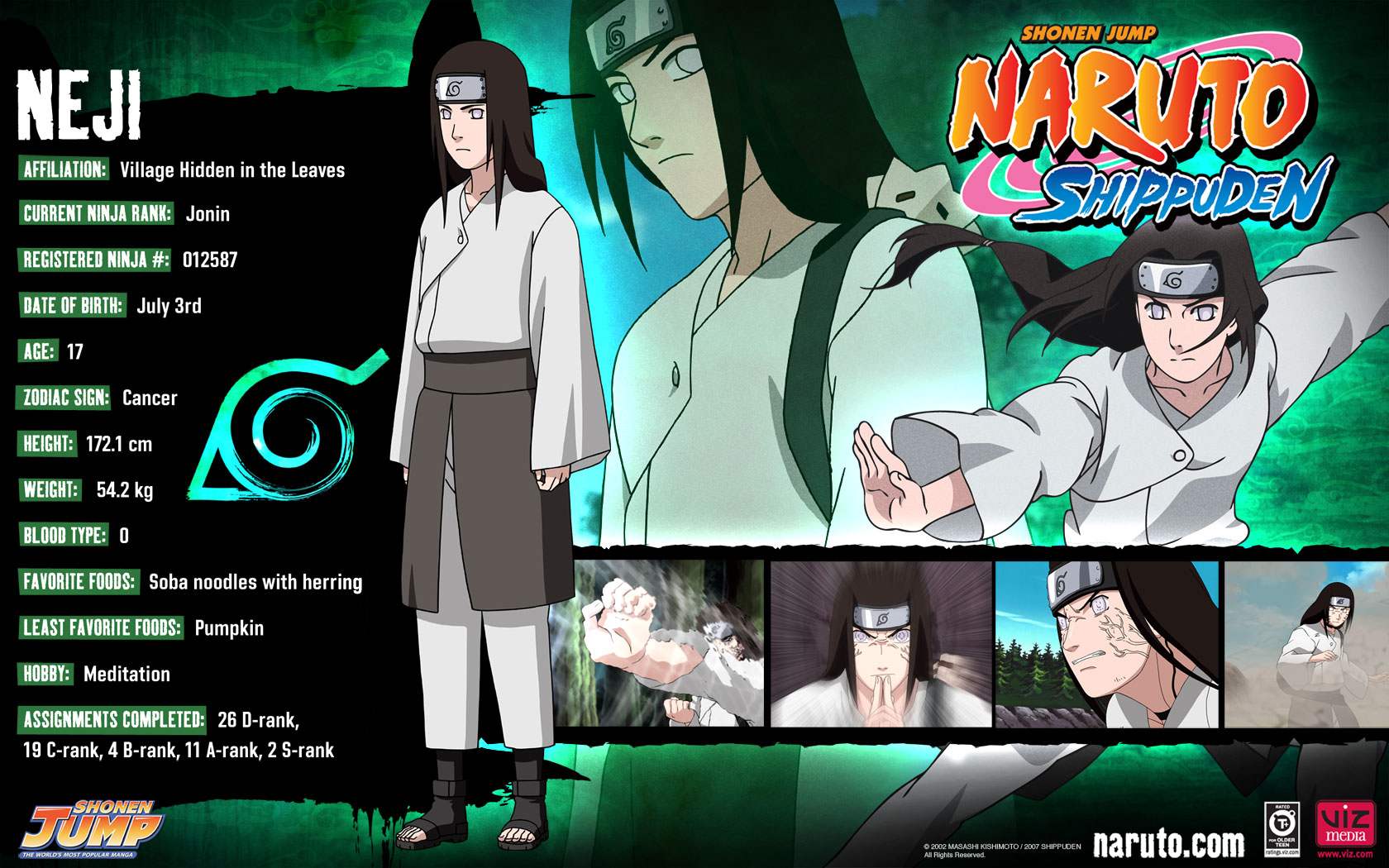 Download the Naruto anime wallpaper titled Neji Bio