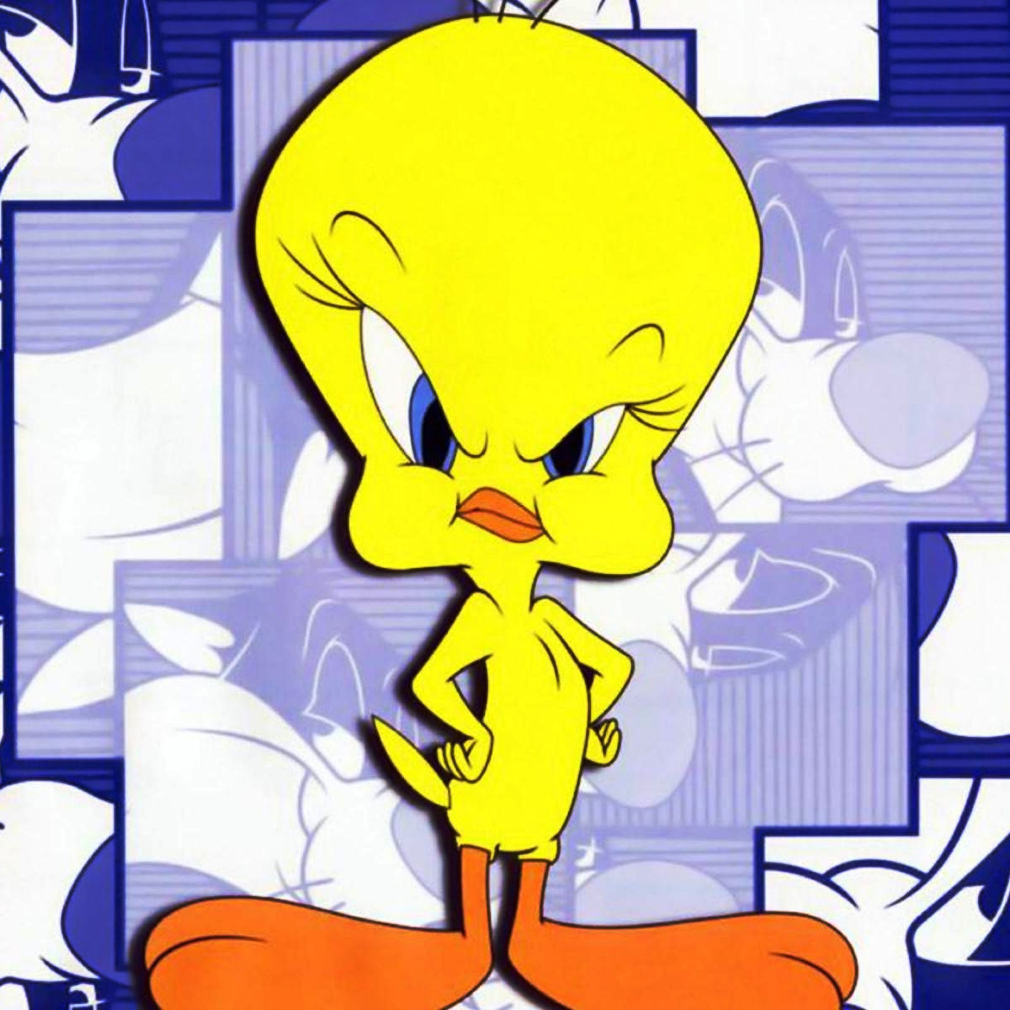 Free Download Tweety Wallpaper Picture Tweety Wallpaper Wallpaper 48x48 For Your Desktop Mobile Tablet Explore 76 Tweety Wallpapers Free Free Tweety Wallpaper And Screensavers