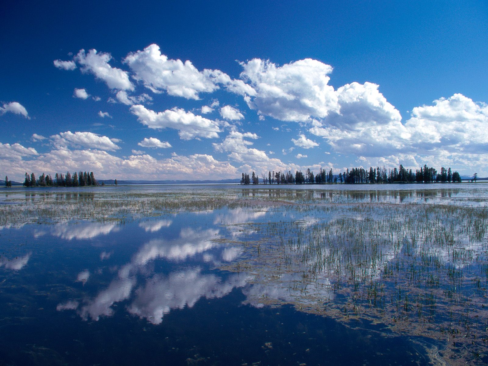 Park Wyoming Nature Wallpaper Image Featuring Lakes And Ponds