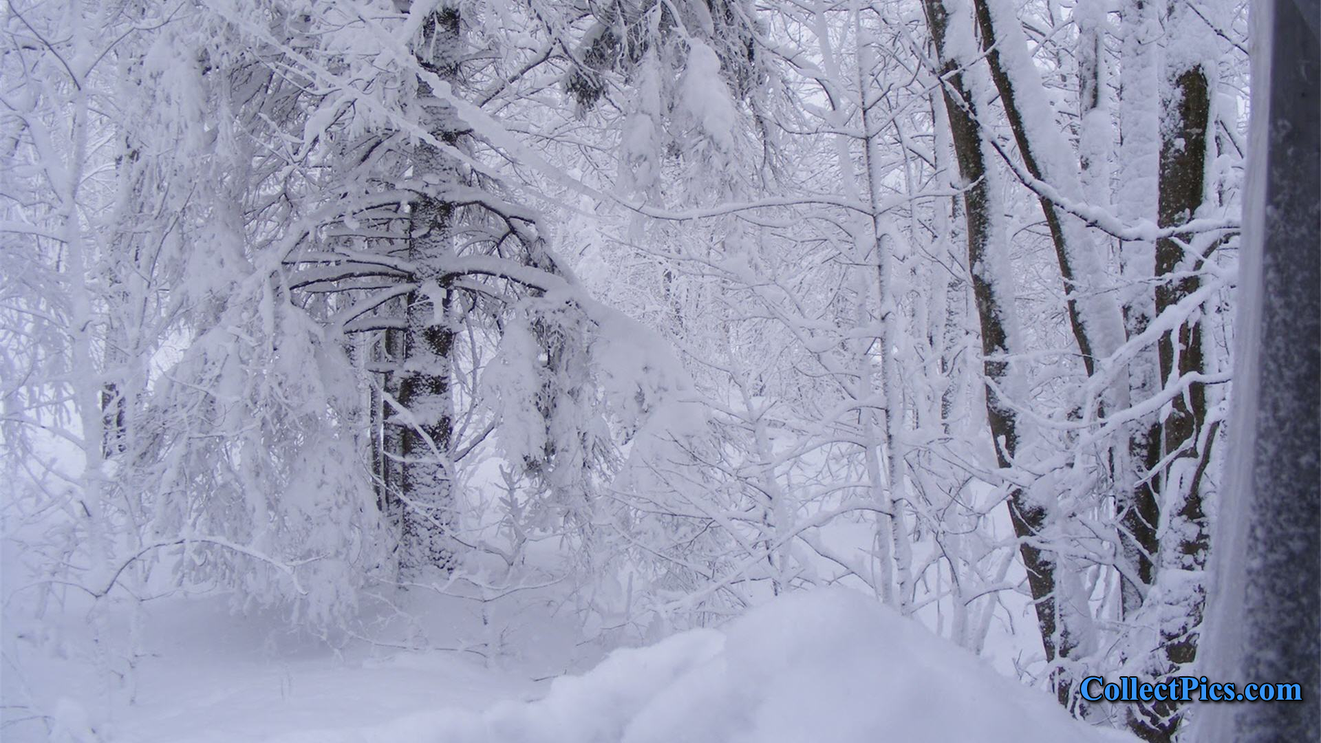 Snow Storm 1080p Wallpaper HD