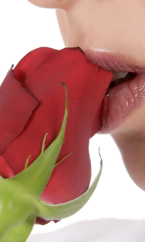 Girl Kissing A Flower Nokia Mobile Phone Wallpaper